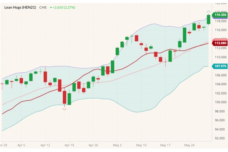 cme july lean hogs
