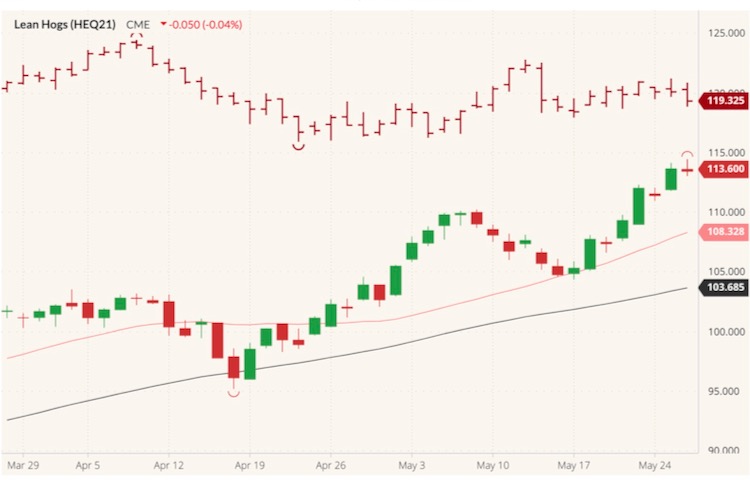 cme august lean hogs