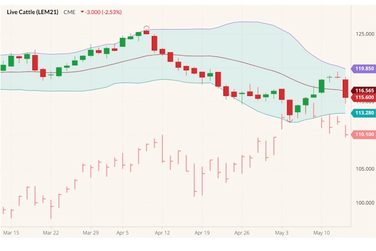 cme june live cattle