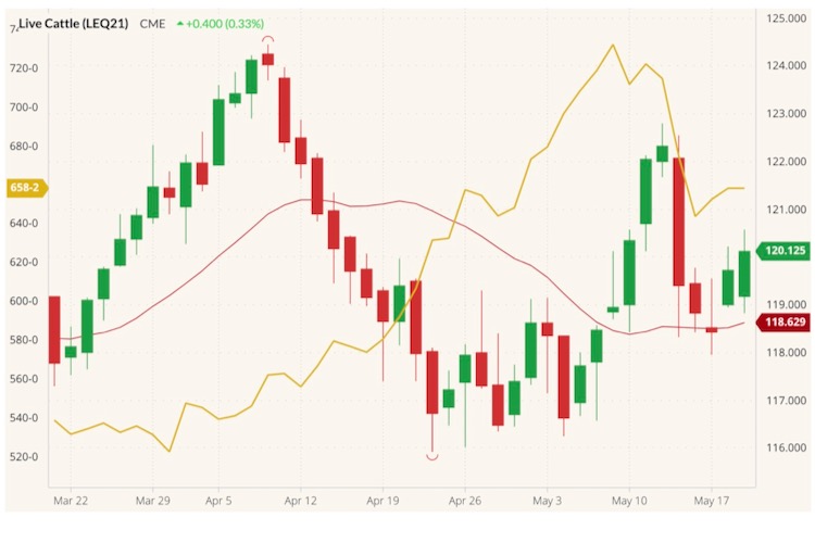 cme august live cattle
