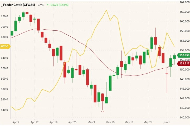 cme august feeder cattle