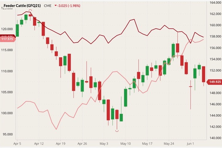 cme august feeder cattle