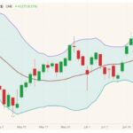 cme october feeder cattle