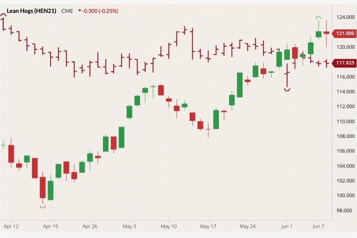 cme july lean hogs