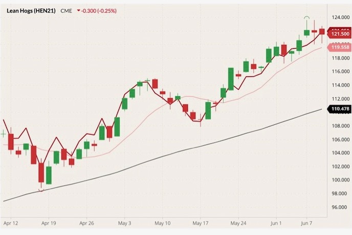 cme july lean hogs