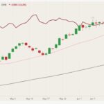 cme august lean hogs