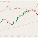 cme august lean hogs