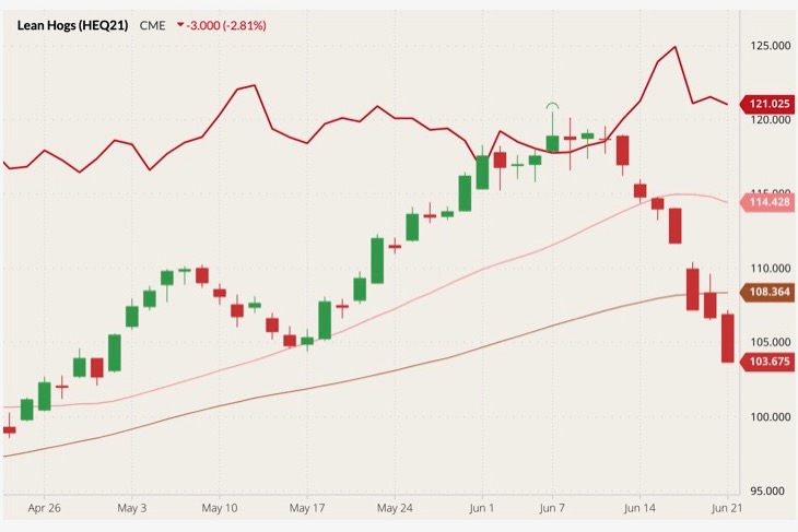 cme august lean hogs