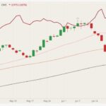 cme august lean hogs