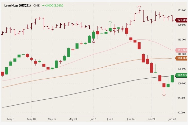 cme august lean hogs