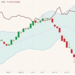 cme august lean hogs