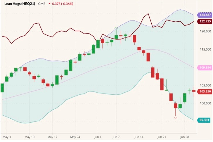 cme august lean hogs