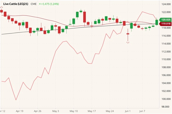 cme august live cattle