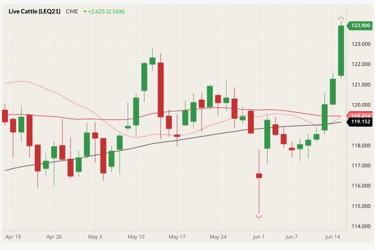 cme august live cattle