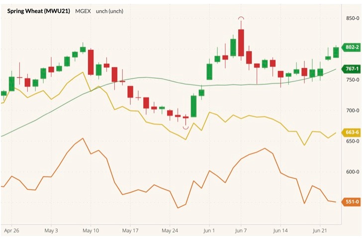 mgex september wheat