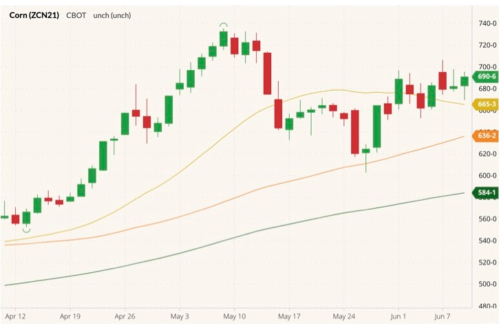 cbot july corn