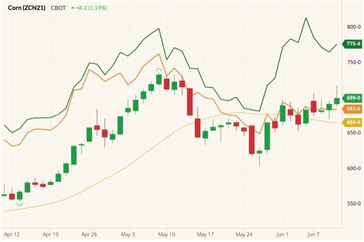 cbot july corn