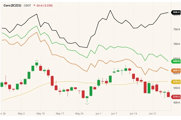 cbot december corn
