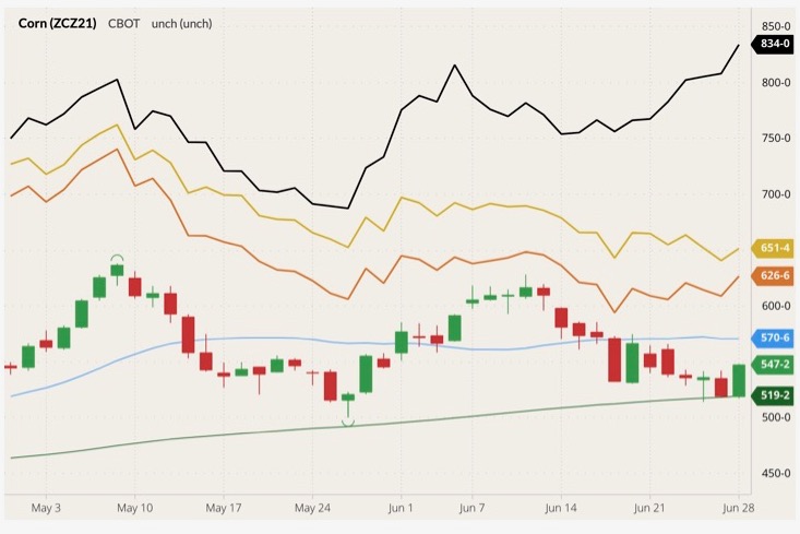 cbot december corn
