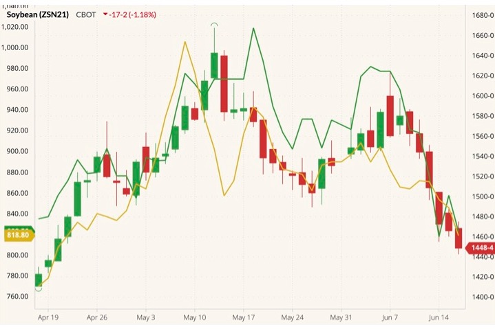 cbot july soybeans