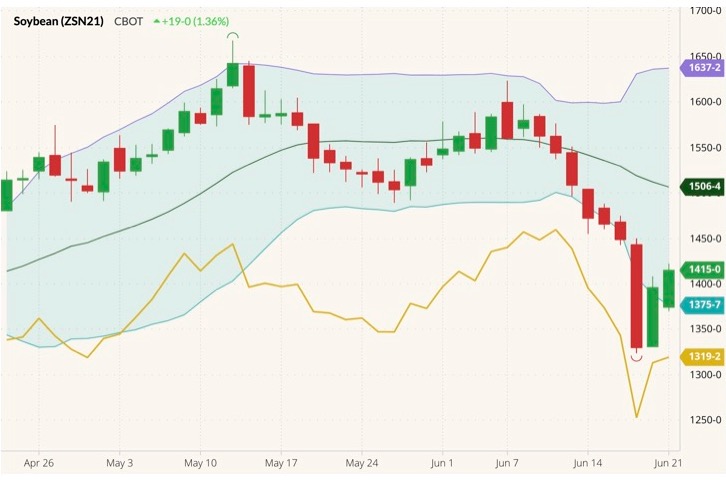 cbot july soybeans