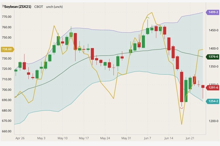 cbot november soybeans