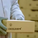 exceldor