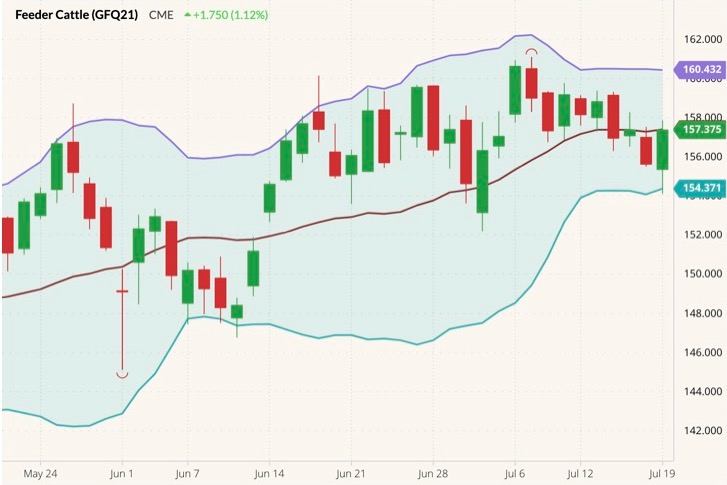 cme august feeder cattle