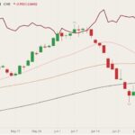 cme august lean hogs