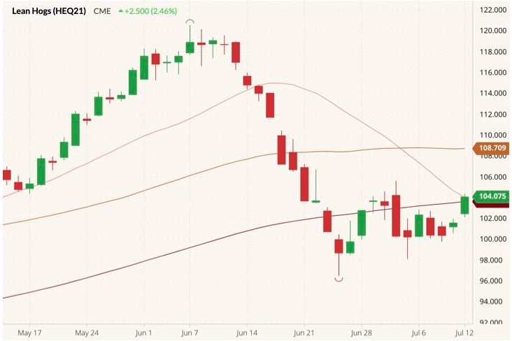 cme august lean hogs