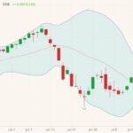 cme october lean hogs