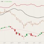 cme october lean hogs