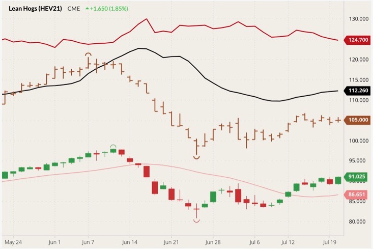cme october lean hogs