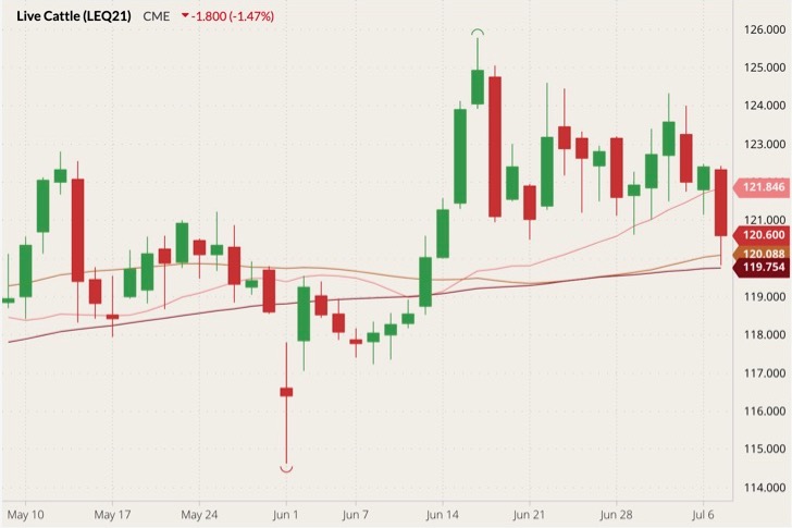 cme august live cattle