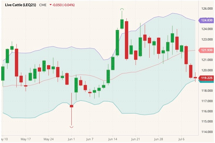 cme august live cattle