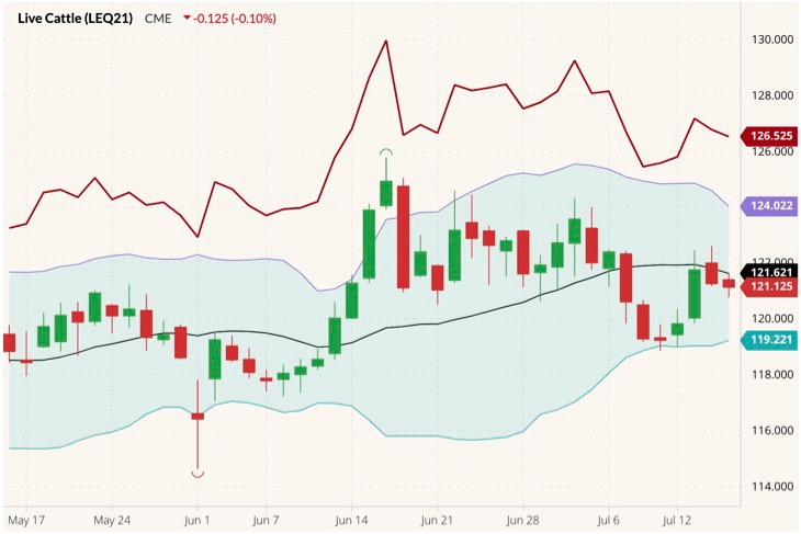 cme august live cattle