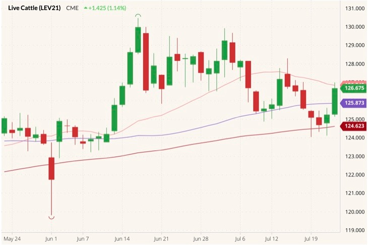 cme october live cattle