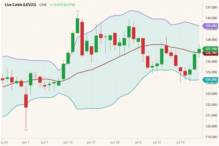 cme october live cattle