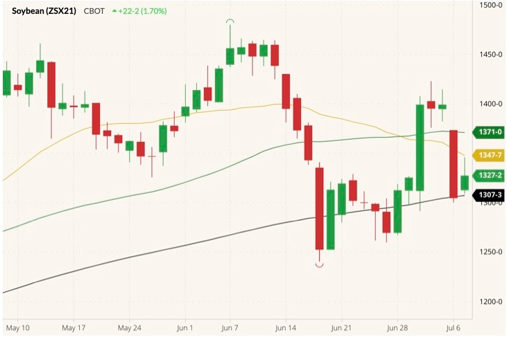 cbot november soybeans