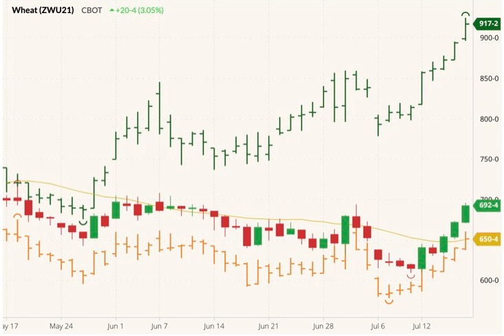 cbot september wheat