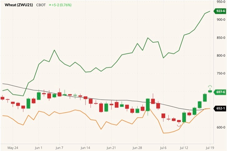cbot september wheat