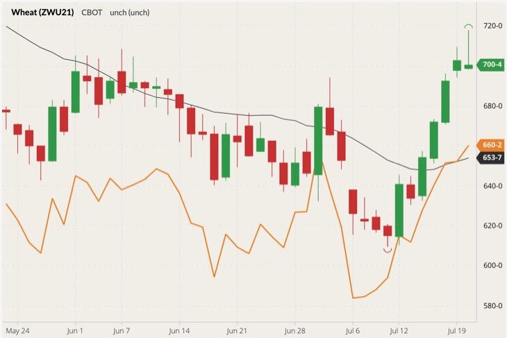 cbot september wheat