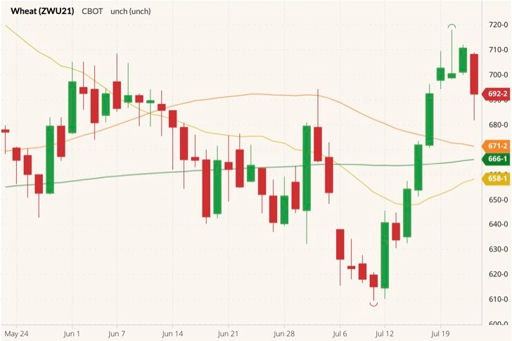 cbot september wheat