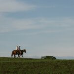 horses and riders