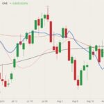 cme october lean hogs