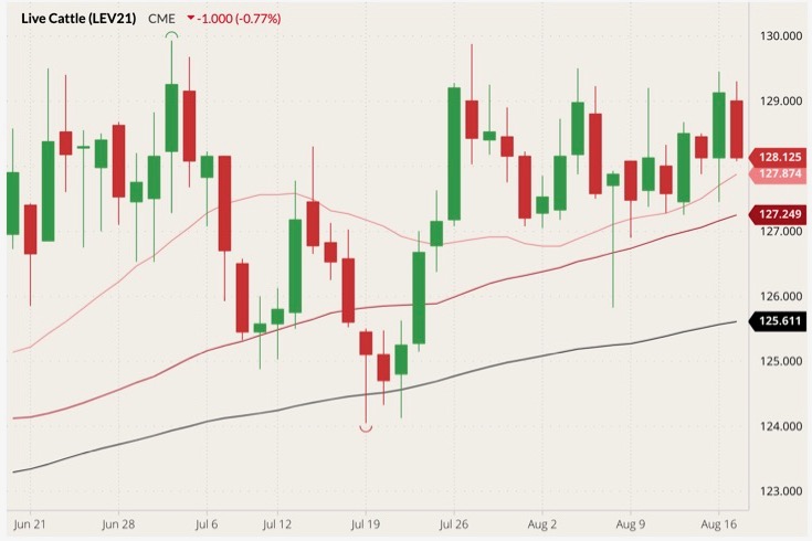 cme october live cattle
