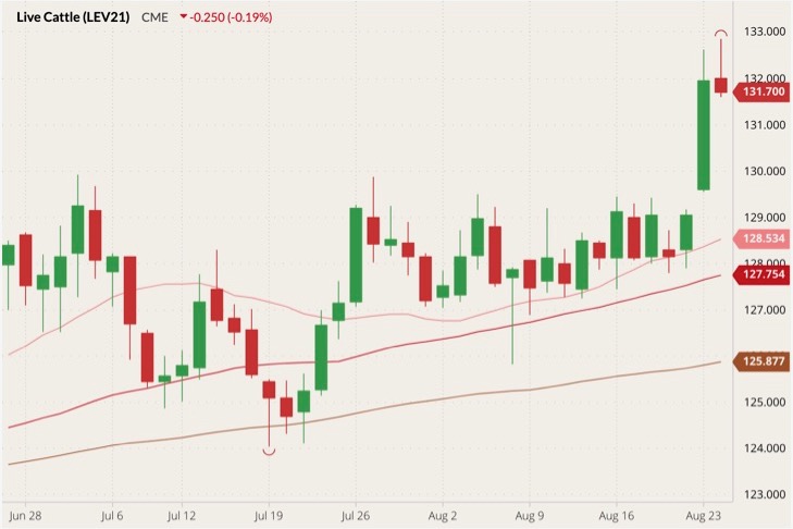 cme october live cattle