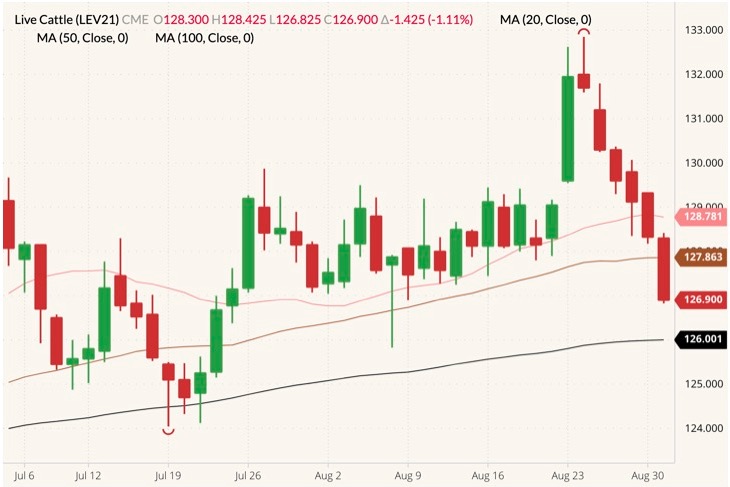 cme october live cattle