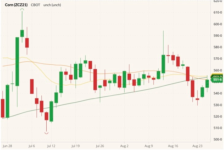 cbot december corn