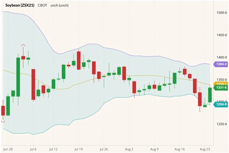 cbot november soybeans